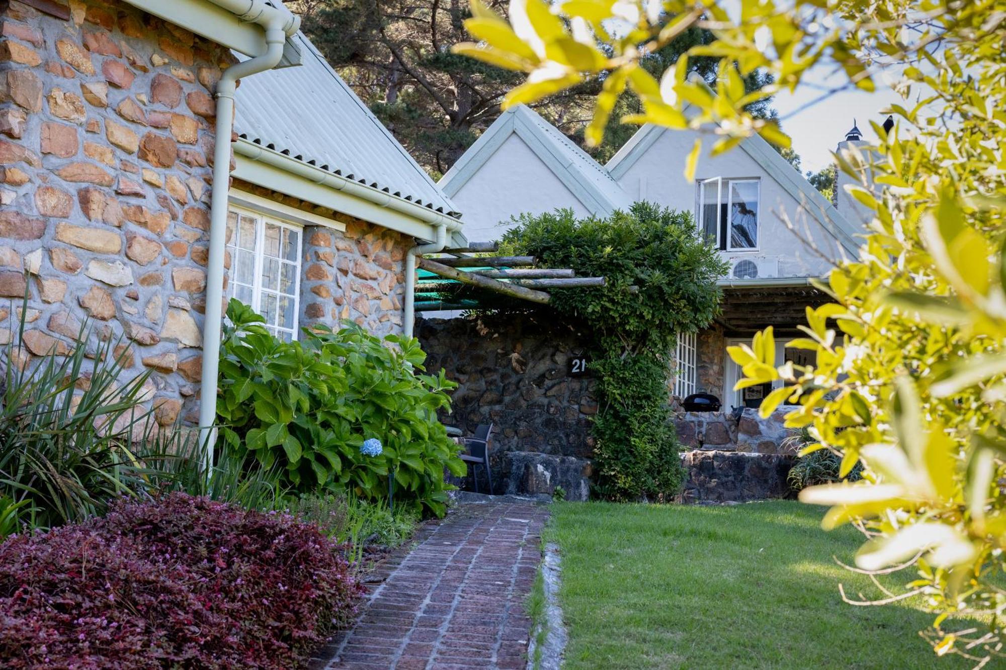 Strelitzia Cottage Cape Town Exterior photo